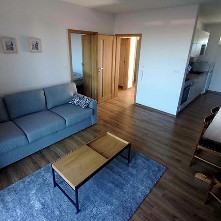Apartman Violetta Нове-Место-над-Метуйи Экстерьер фото