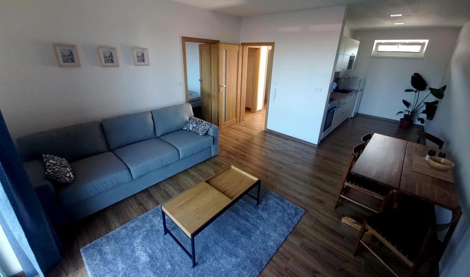 Apartman Violetta Нове-Место-над-Метуйи Экстерьер фото