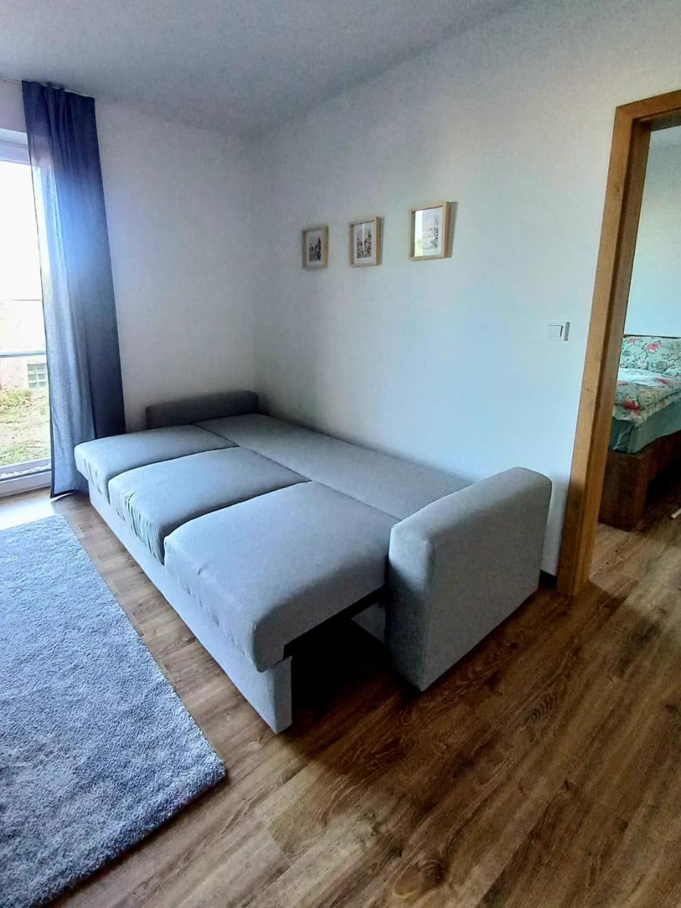 Apartman Violetta Нове-Место-над-Метуйи Экстерьер фото