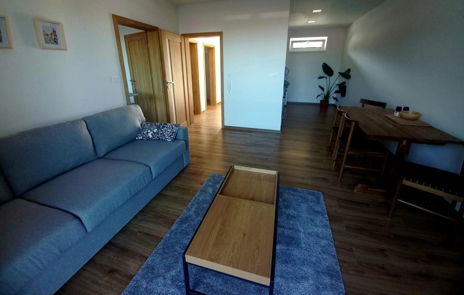 Apartman Violetta Нове-Место-над-Метуйи Экстерьер фото