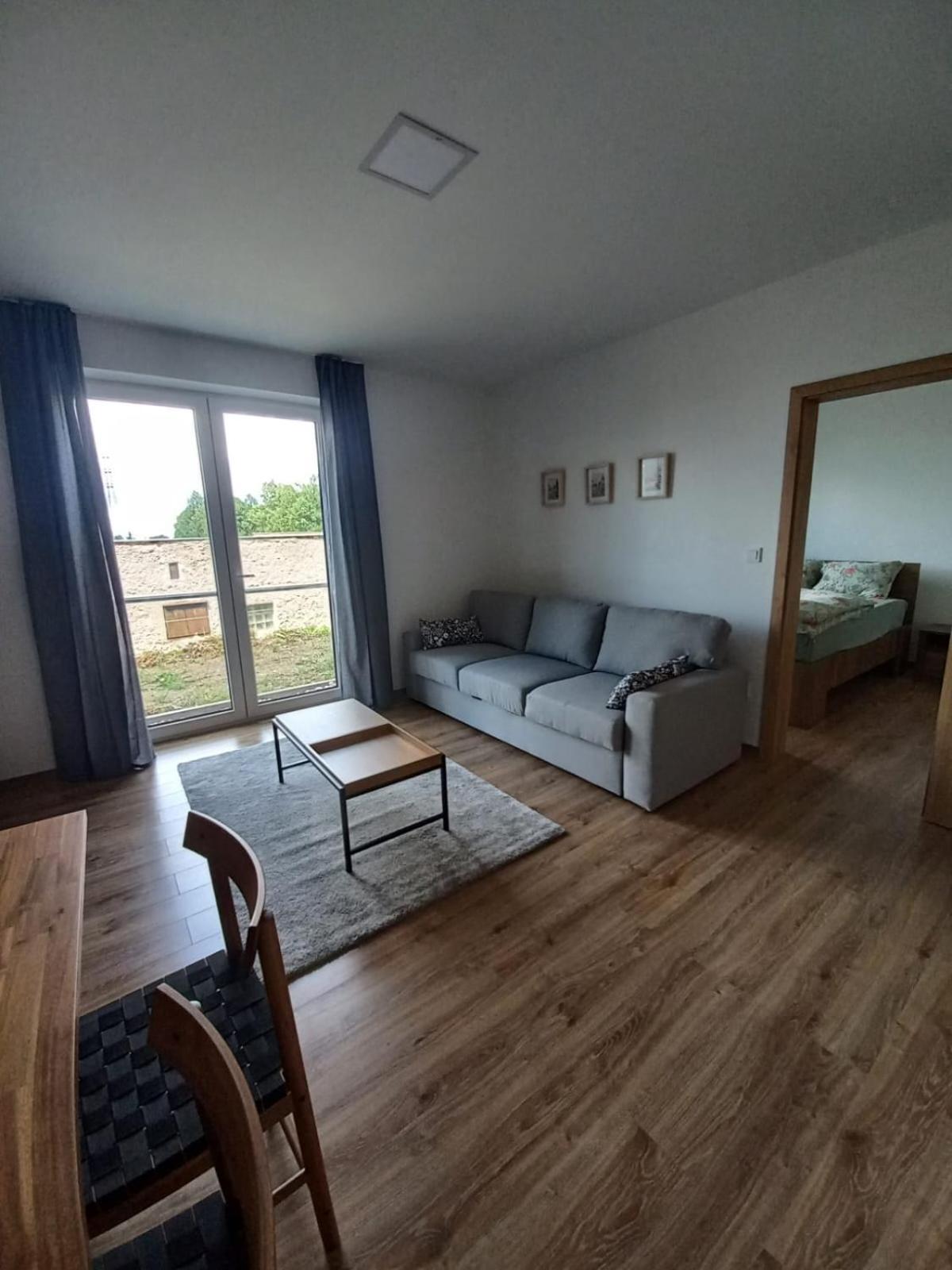 Apartman Violetta Нове-Место-над-Метуйи Экстерьер фото